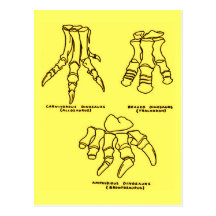 Dinosaur Foot Bones Post Cards
