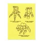 Dinosaur Foot Bones Post Cards