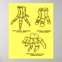 Dinosaur Foot Bones Poster