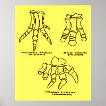 Dinosaur Foot Bones Poster