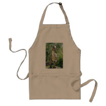 Dinosaur Love aprons