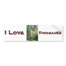 Dinosaur Love bumper stickers