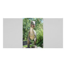Dinosaur Love photo cards