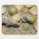 Dinosaur Nest Mouse Pad mousepad