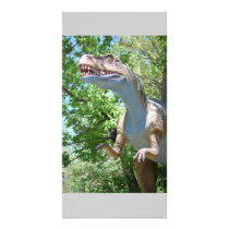 Dinosaur photo cards