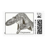 Dinosaur Postage Gorgosaurus by Gregory S. Paul