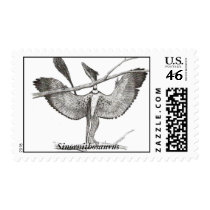 Dinosaur Postage Sinornithosaurus by Gregory Paul