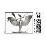 Dinosaur Postage Sinornithosaurus by Gregory Paul postage