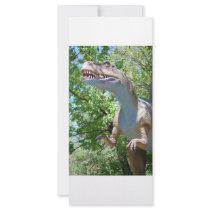 Dinosaur rack cards