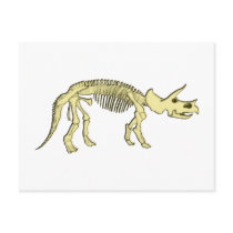 Dinosaur skeleton dino dinosaur skeleton postcards
