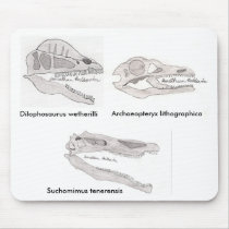 Dinosaur skull mousepad #1