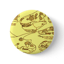 Dinosaur Skulls Pinback Button