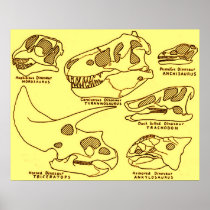 Dinosaur Skulls Print