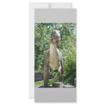 Dinosaur T-Rex Personalized Rack Card