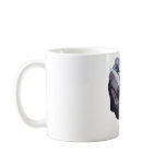 Dinosaur t-shirts mugs