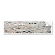 Dinosaur Tracks bumper stickers