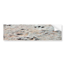 Dinosaur Tracks bumper stickers