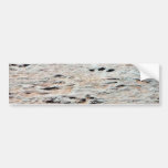 Dinosaur Tracks Bumper Stickers