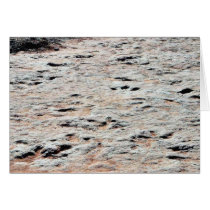 Dinosaur Tracks Greeting Card