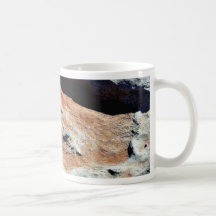 Dinosaur Tracks North Of Flagstaff Mug