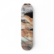 Dinosaur Tracks North Of Flagstaff skateboards