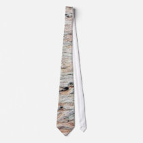 Dinosaur Tracks ties
