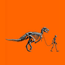 DINOSAUR WALK t-shirts