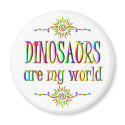 DINOSAURS are my world magnet