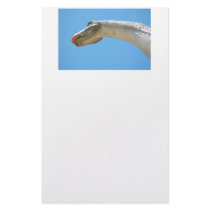 Dinosaurs stationery
