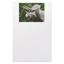 Dinosaurs stationery