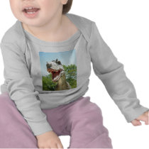 Dinosaurs T-Rex Tshirt