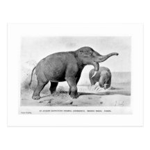 Dinotherium art postcard