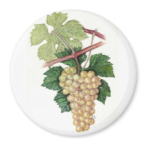 Dionysus & Rhea Collection Magnet