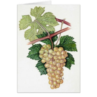Dionysus y colección de Rhea Felicitación