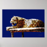 Dios de Jaguar de la noche Posters