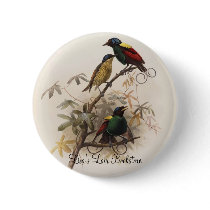 Diphyllodes respublica - Wilson's Bird Of Paradise buttons