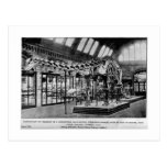 Diplodocus carnegii skeleton art postcard