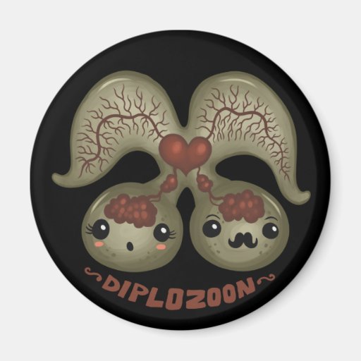 Diplozoon paradoxum fridge magnets
