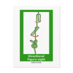 Directional Figure Eight (Knotology) Post Card