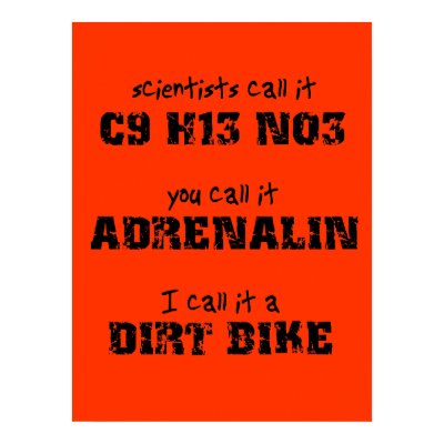 Dirt Bike Adrenalin Motocross Poster by allanGEE