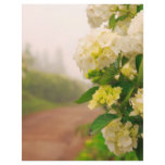 Dirt road and hydrangeas custom flyer