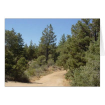 dirt road cards by sumiko dirt road cards