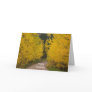 Dirt Road in Autumn Greeting Cards