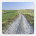 Dirt Road through Fields and Hills, Val d'Orcia, Sticker