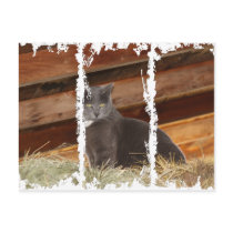 Dirty 3Tall Boxes Postcard by joacreations Dirty 3Tall Boxes Postcard