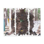 Dirty 3Tall Boxes Postcard