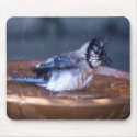 Dirty Bird mousepads