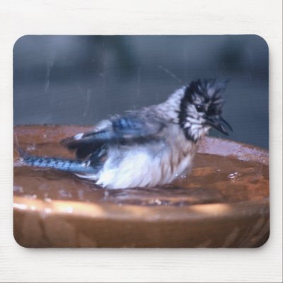 Dirty Bird Mouse Mat by roimim