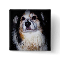 Dirty Digger Doggie Buttons