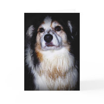 Dirty Digger Doggie Greeting Card